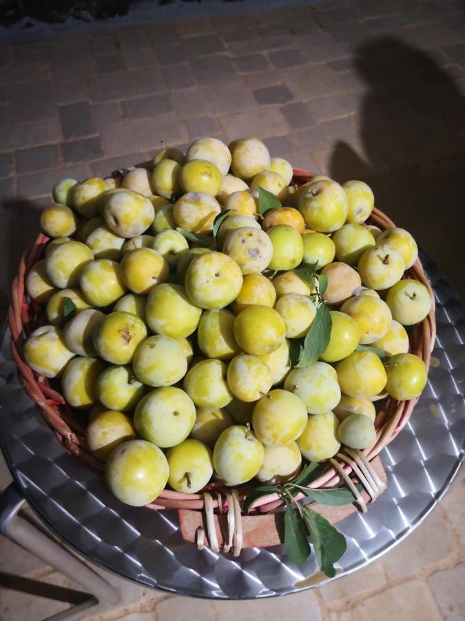 Le Dimore Di Mama Ceglie Messapica Extérieur photo